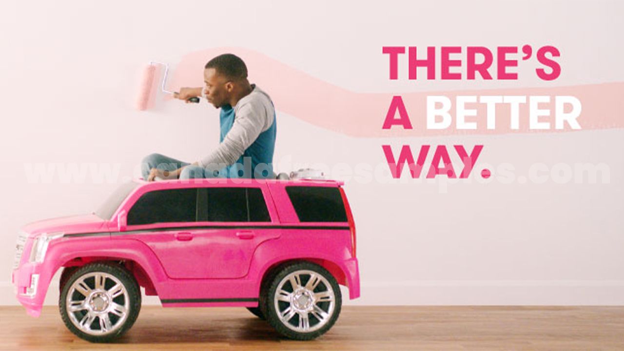 BOGO Free on Dulux Products